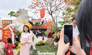 Chen chân cầu an đầu năm ở cổ tự 700 tuổi tại Quảng Trị
