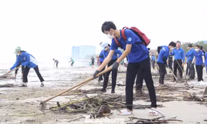 Bạn trẻ Đà Nẵng sáng tạo để 'xanh hóa' biển quê hương