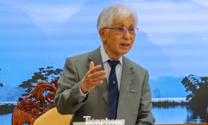'Tìm tiếng nói chung' tại đối thoại Quy Nhơn về khí hậu và chuyển đổi