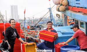 Chuyến biển xuyên năm, ngư dân mong cá tôm đầy khoang