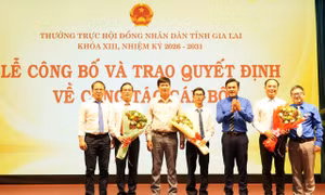 Phó Bí thư Thường trực Tỉnh Đoàn giữ chức Phó Chánh Văn phòng Đoàn ĐBQH và HĐND tỉnh Gia Lai 