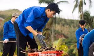 'Áo xanh' tình nguyện dọn dẹp trường học sau trận ngập lịch sử