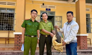 Phát hiện con vật ‘lạ’ trước nhà, người đàn ông ở Gia Lai làm điều bất ngờ