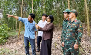 Gia Lai: Dùng flycam khảo sát đồi Xuân Sơn tìm dấu tích mộ tập thể liệt sĩ