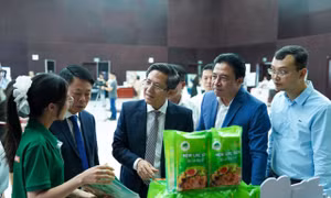 Lãnh đạo các bộ, ngành tham quan 'gian hàng xanh’ tại Đà Nẵng