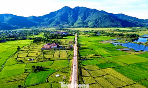 Huế sắp khởi công nhiều dự án phục vụ giải phóng mặt bằng làm đường sắt tốc độ cao