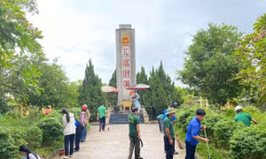 Tuổi trẻ Huế, Hà Tĩnh ra quân Chủ nhật xanh