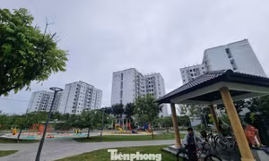 Giá thuê nhà ở xã hội tại Đà Nẵng sẽ biến động ra sao?