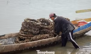 ‘Giải cứu’ khu đầm danh thắng ở Huế từng bị vỏ lốp cao su bủa vây