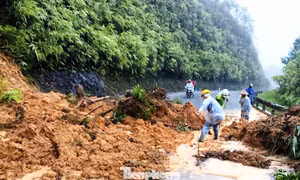 Mưa lớn gây sạt lở tắc đường, sóng mạnh nhấn chìm tàu cá ở Huế