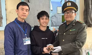 Con vật lạ bò vào phòng trọ, nam sinh báo kiểm lâm mới biết là loài quý hiếm