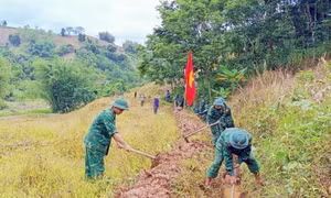 Tuổi trẻ Biên phòng TP. Huế ra quân thứ Bảy tình nguyện, Chủ nhật xanh