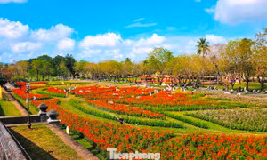 Ngắm vườn Xuân lộng lẫy bên trong Kinh thành Huế