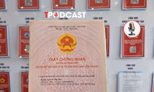 Hợp nhất quy định đất đai, 6 trường hợp cấp mới sổ đỏ cần lưu ý