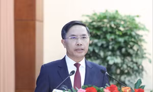 Giám đốc các sở được Chủ tịch TP Đà Nẵng ủy quyền về phê duyệt đầu tư như thế nào?