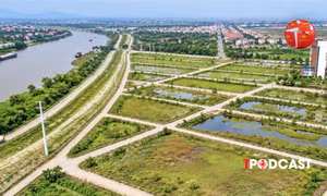 Đất bỏ hoang bao lâu bị đánh thuế 0,2%?