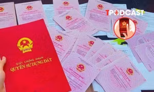 Mỗi nhà, đất sẽ có mã định danh điện tử riêng từ 1/3/2026