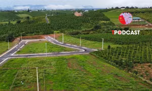 Chuyển mục đích một phần thửa đất có phải tách thửa?