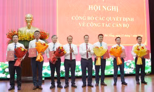 Đà Nẵng điều động, bổ nhiệm nhiều cán bộ chủ chốt