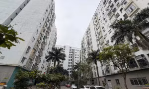 Thêm dự án nhà ở xã hội hơn 2.000 tỷ đồng ở trung tâm Đà Nẵng