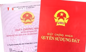 Quy định mới về thuế đất, người dân cần nhớ các mốc thời gian để tránh phát sinh nợ thuế