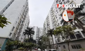 Đề xuất lập cơ sở dữ liệu mua NOXH trên VNeID
