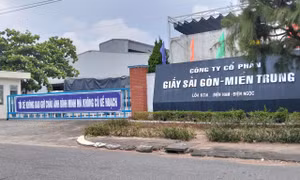 Nhà máy giấy của Công ty Cổ phần Giấy Sài Gòn - Miền Trung tại Khu công nghiệp Điện Nam – Điện Ngọc.