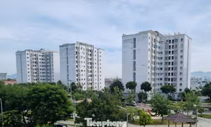 Đà Nẵng cho thuê nhà ở xã hội từ 54.000 đồng/m2/tháng