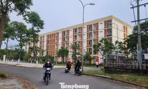 Bí thư Đà Nẵng nói gì về thông tin di dời Làng Đại học về phía Nam?
