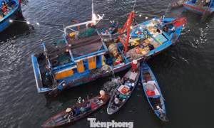 Theo chân ngư dân đến chợ nổi duy nhất ở Quảng Ngãi lúc 4 giờ sáng