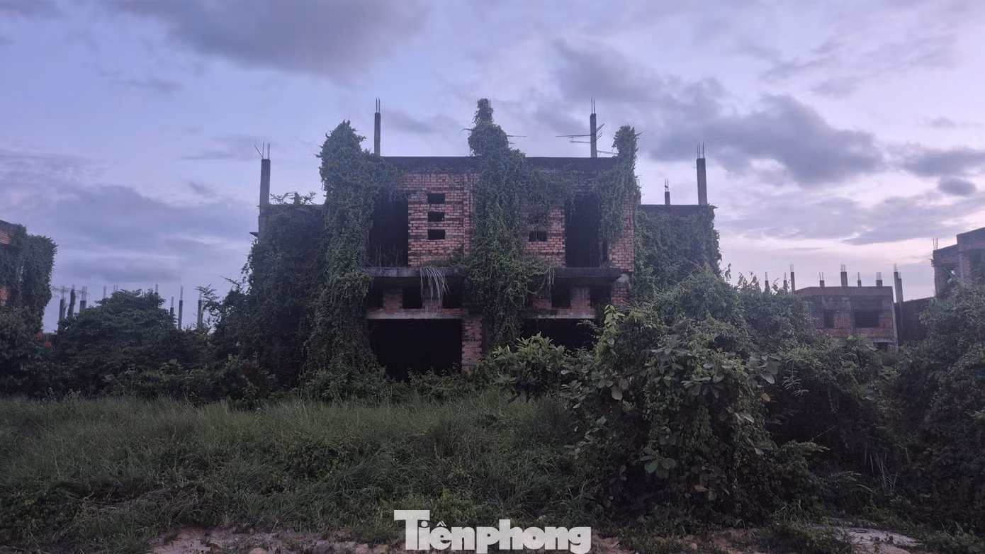 tp-c-2aoboqnph79n73fkdd9rmwp5go95t2bla4ntwbwa.jpg