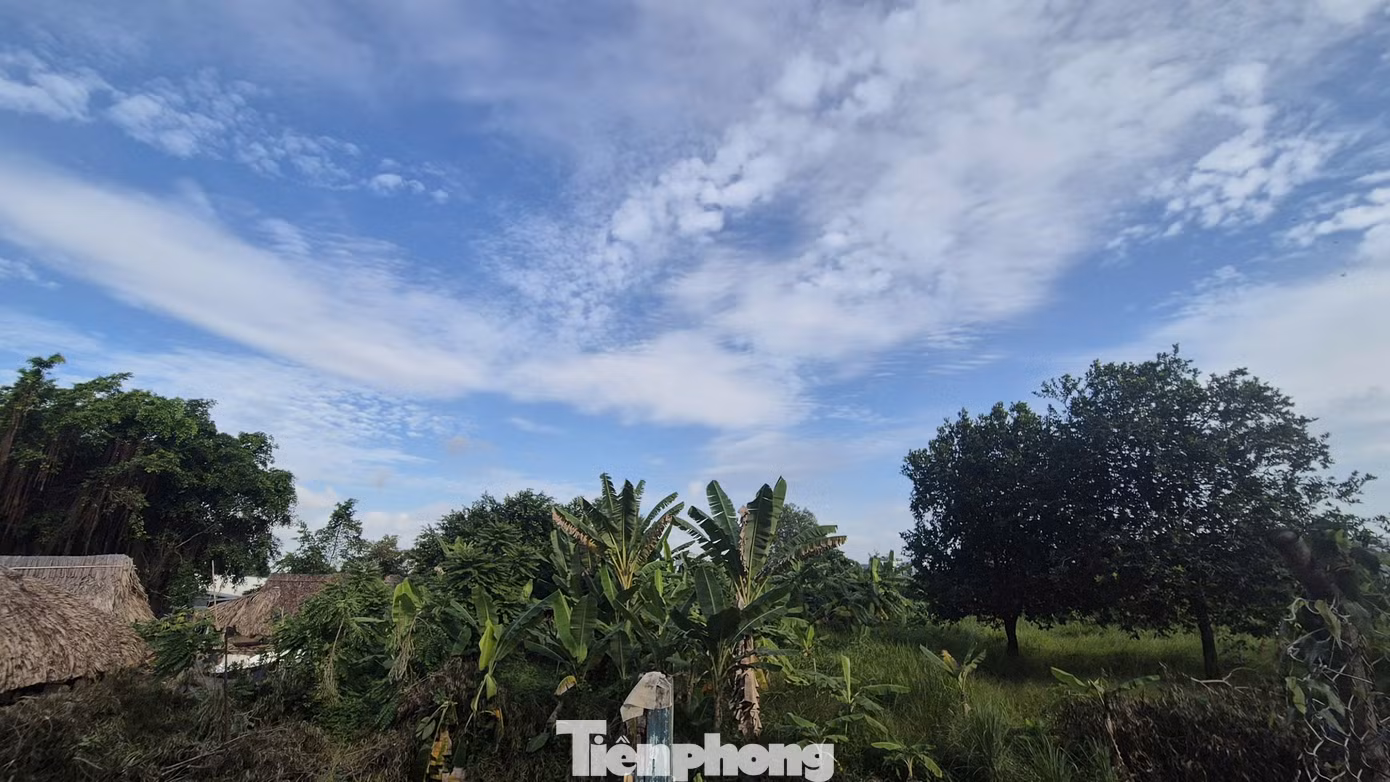 tp-c_2aoboqrdx0agivoi71nbytupj9rq0dctirnkripq.jpg