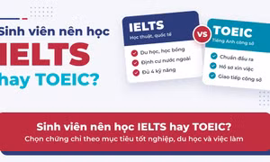 Sinh viên nên học IELTS hay TOEIC?
