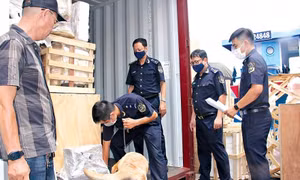 Chiến dịch Con Rồng Mê Kông 7 triệt phá hơn 1.100 vụ buôn lậu ma tuý