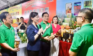 Đưa hợp tác xã nông nghiệp tham gia sâu vào chuỗi giá trị