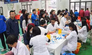 Gần 300 đơn vị máu được hiến tặng tại Lễ hội Xuân Hồng 2026