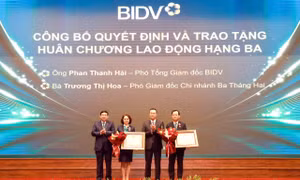 Ngân hàng lớn nhất Việt Nam có tổng tài sản trên 3,2 triệu tỷ đồng