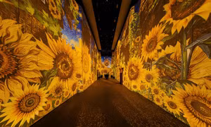 Một thế giới đầy sắc màu cho con trong dịp nghỉ lễ 2/9 với Van Gogh Timeless