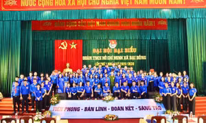 Tuổi trẻ xã Đại Đồng góp phần xây dựng quê hương giàu đẹp