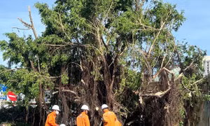 Miền Trung: Hơn 1,6 triệu khách hàng bị mất điện do ảnh hưởng bão số 13