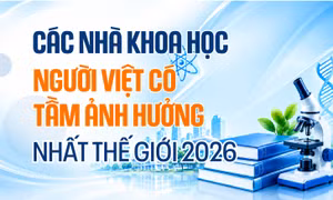 Các nhà khoa học người Việt có tầm ảnh hưởng nhất thế giới 2026