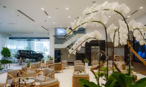 Điều gì tạo nên sức hút đặc biệt của Lexus Trung Tâm Sài Gòn