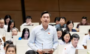 ĐBQH Trần Văn Đăng: Gây thiệt hại trái pháp luật đến đâu, bồi thường đến đó
