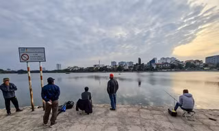 'Hô biến' hồ Định Công thành nơi câu cá dịch vụ, hốt bạc triệu mỗi ngày