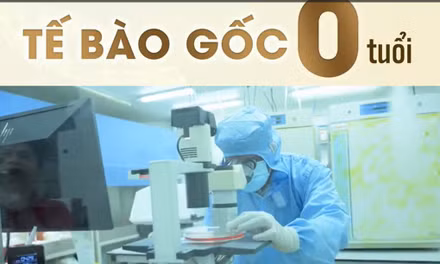 Rầm rộ quảng bá đưa người Việt ra nước ngoài tiêm tế bào gốc
