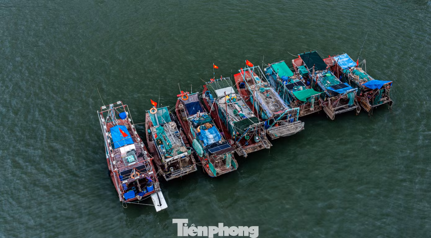 tp-quocnam-dji-0797.jpg