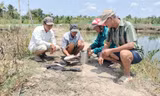 Cá chết do nhiễm mặn từ thi công sân bay, lãnh đạo Cà Mau yêu cầu bồi thường cho dân