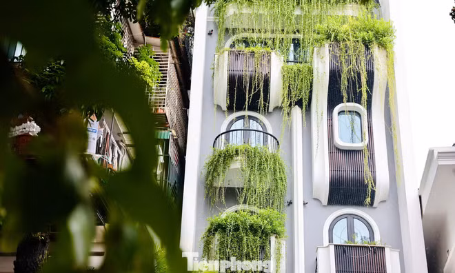Cận cảnh khu đất vàng của Bảo tàng Lịch sử quốc gia bị con trai nguyên giám đốc lấn chiếm 