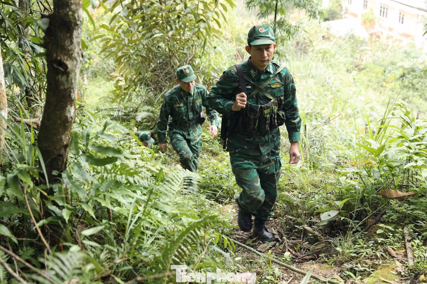 tp-16.jpg