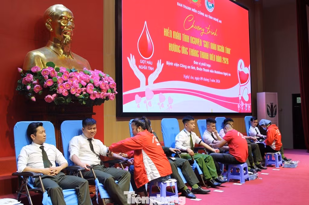 tp-6.jpg